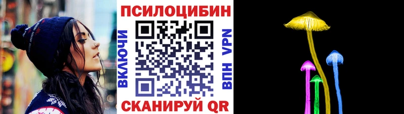 Псилоцибиновые грибы MAGIC MUSHROOMS где найти наркотики Мурманск