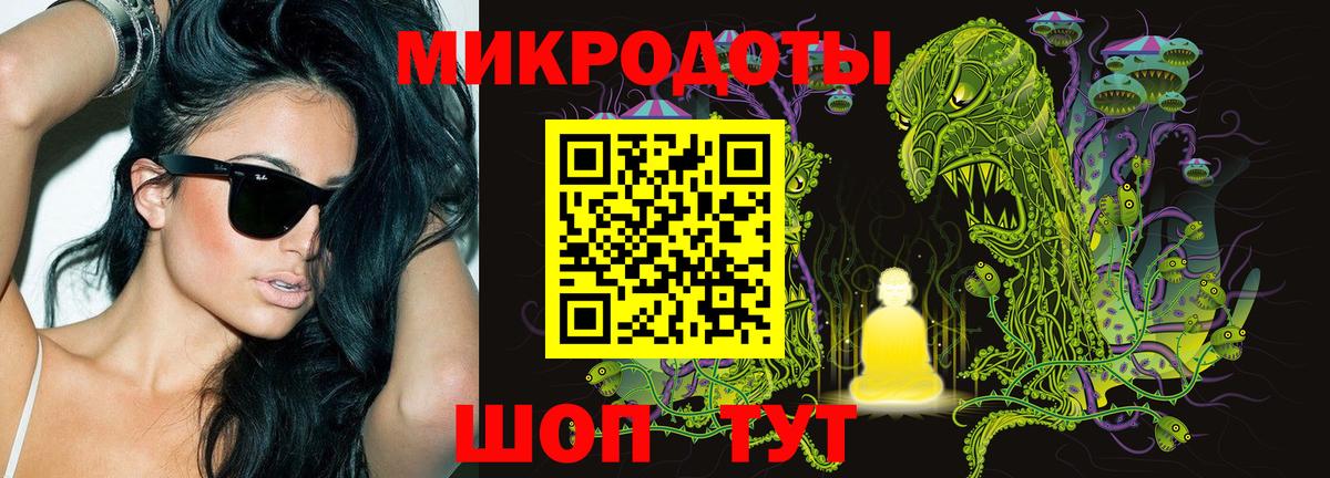 Псилоцибиновые грибы Psilocybine cubensis  Вход с VPN  Мурманск 
