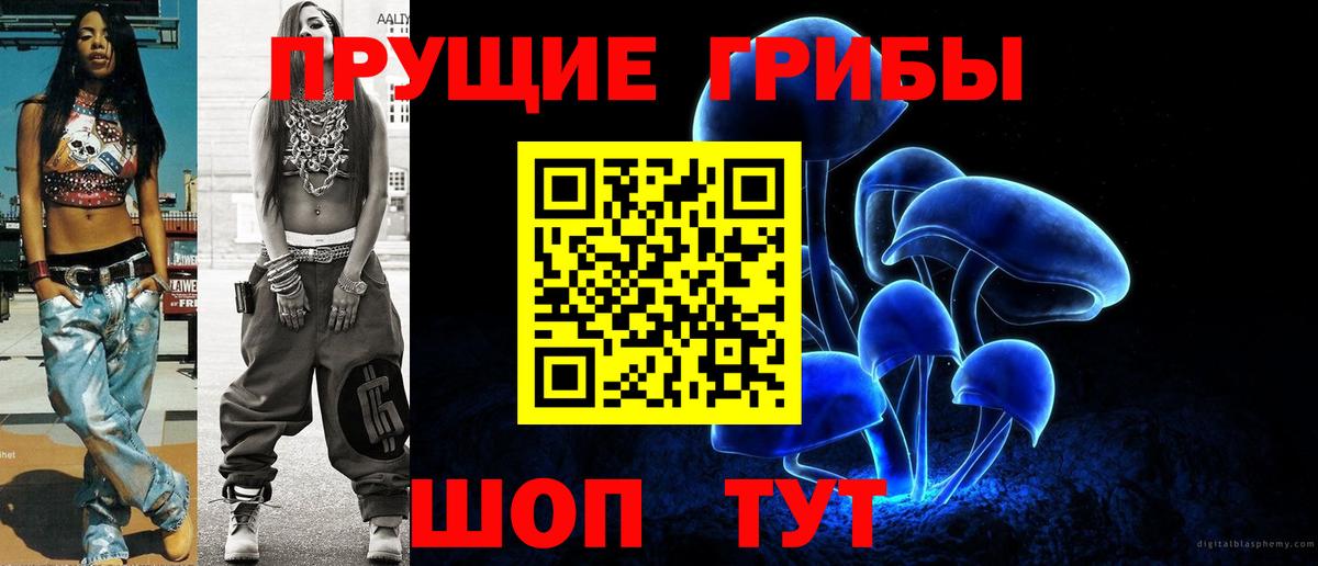 Псилоцибиновые грибы прущие грибы Мурманск